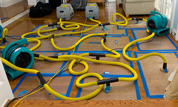 Professional Flood Damage Restoration technician working in Genoa, IL